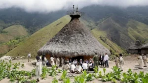 kota-hilang-di-kolombia-mewarisi-warisan-budaya-yang-nyaris-dilupakan