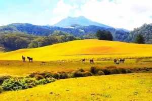 pesona-nusa-tenggara-timur-surga-tersembunyi-di-timur-indonesia