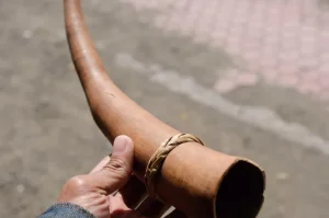 koteka-pakaian-tradisional-papua-yang-sarat-makna-dan-sejarah