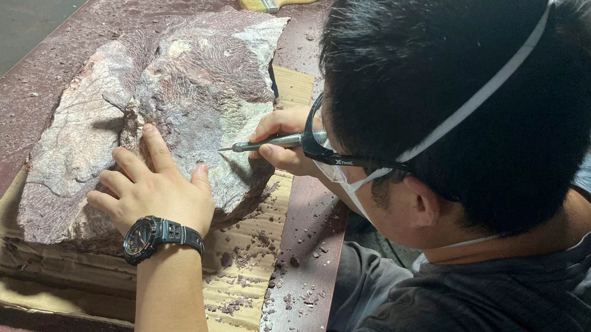 penemuan-fosil-dinosaurus-di-hong-kong-perkembangan-baru-dalam-paleontologi