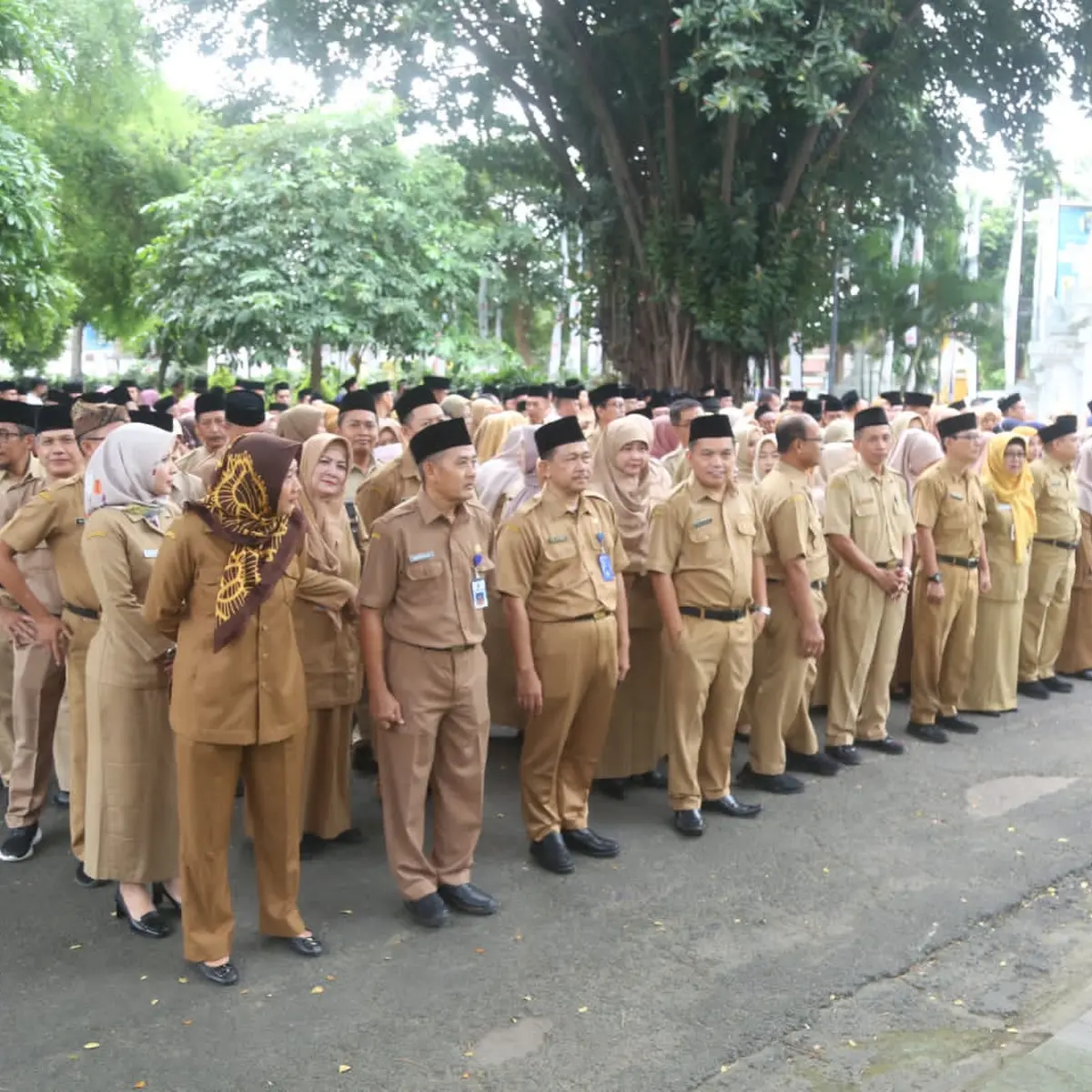 3-247-tenaga-honorer-ntb-berjuang-dalam-seleksi-pppk-2025-formasi-guru-mendominasi